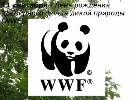 Какое животное стало символом