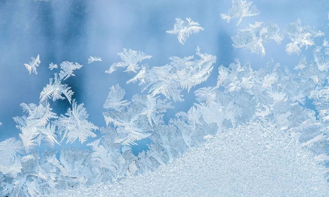 зимний орнамент. волшебница-зима. девушка снежинка. вьюга. метелица снежная королева.