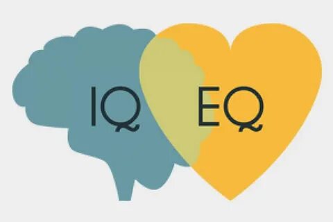 Iq 5