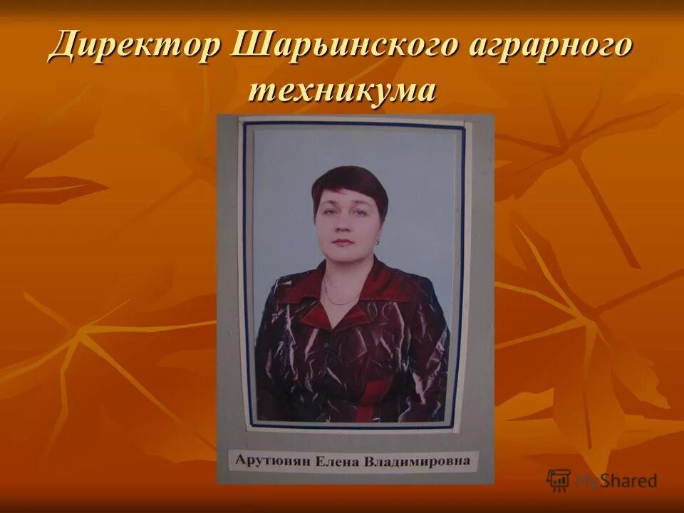 шарьинский аграрный. шарьинский аграрный. аграрный техникум шарья. шарьинский совхоз техникум. шарьинский аграрный техникум костромской области.