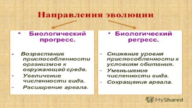 Биологический прогресс формы. Основные направления эволюции. Направление эволюции биологический Прогресс биологический регресс. Два направления эволюции.