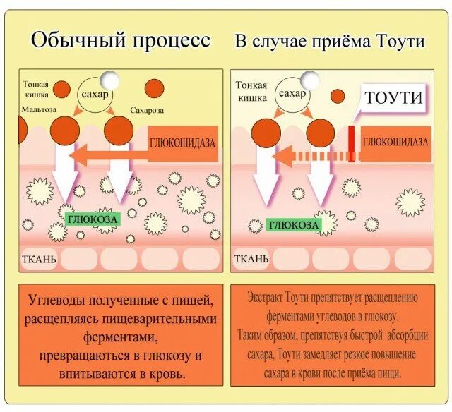 Сахар в крови. Увеличение сахара в крови. Повышение сахара в крови после коронавируса. Сахар в крови после коронавируса повышен.