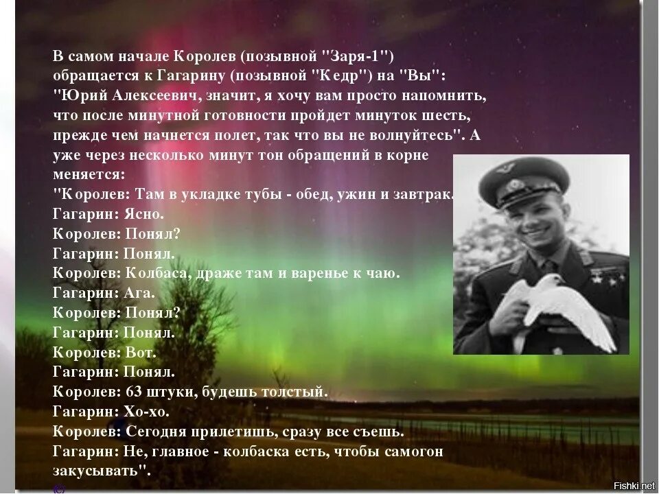 Что было на заре 1