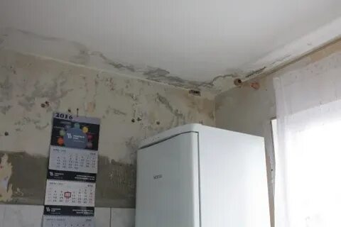 Затопила управляющая компания