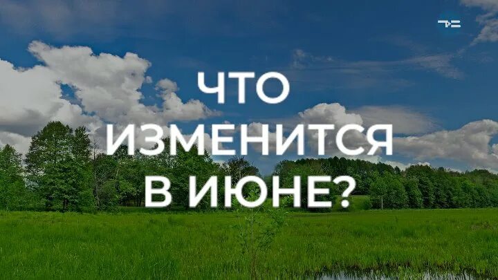 Доброе утро с первым днем лета. Июль природа. Солнечное лето. Природа лето июль. Цветущие луга.