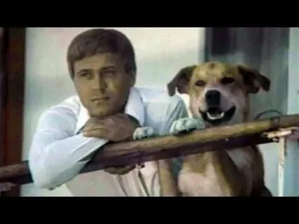Соленый пес 1973