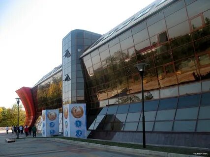 Гладиатор нальчик