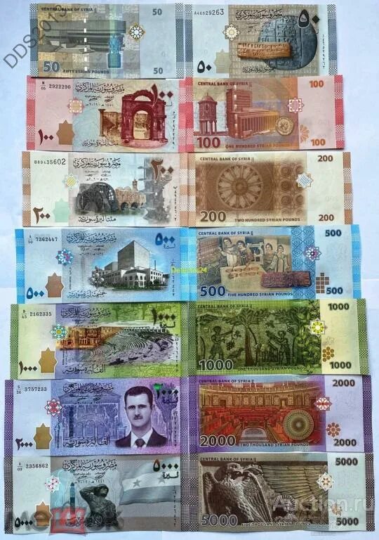 500 фунтов в рублях. Сирия - 100 фунтов 2021 UNC. Купюры 50 100 500 1000 2000 5000 рублей. Купюры 50 100 200 500 1000. Купюры 100 500 2000.