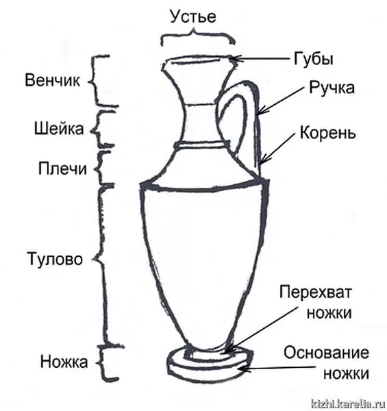 Составные части вазы. Составные части кувшина. Название частей вазы. Составные части древнегреческого сосуда.