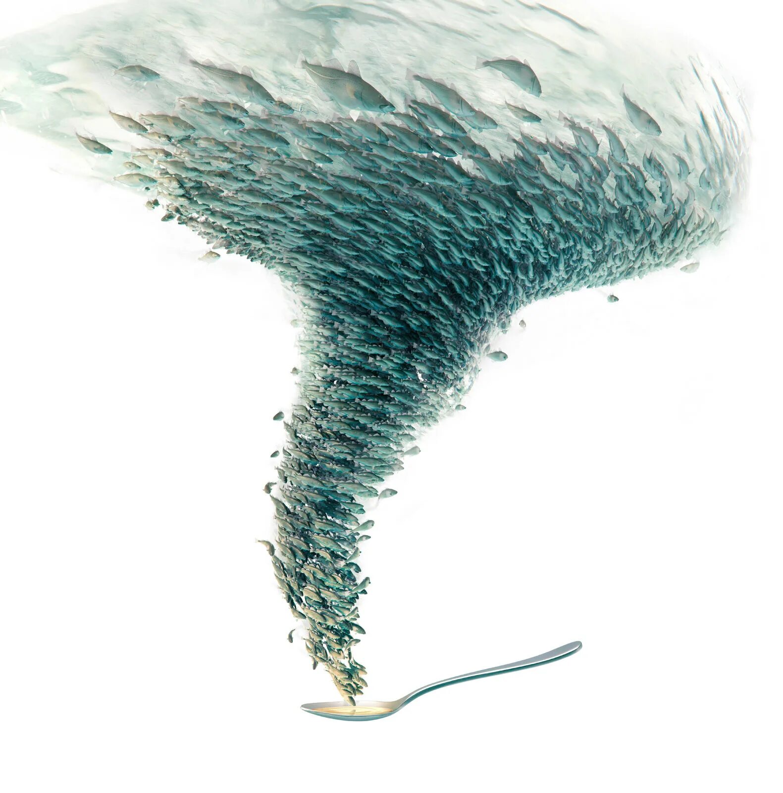 Visual animation