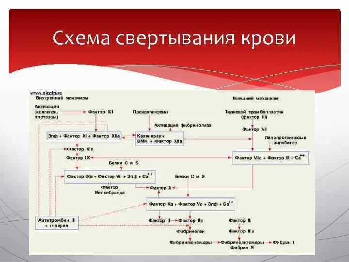 Факторы образования тромба