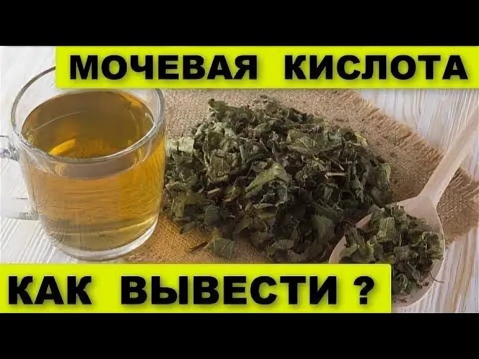 Какая трава выводит мочевую