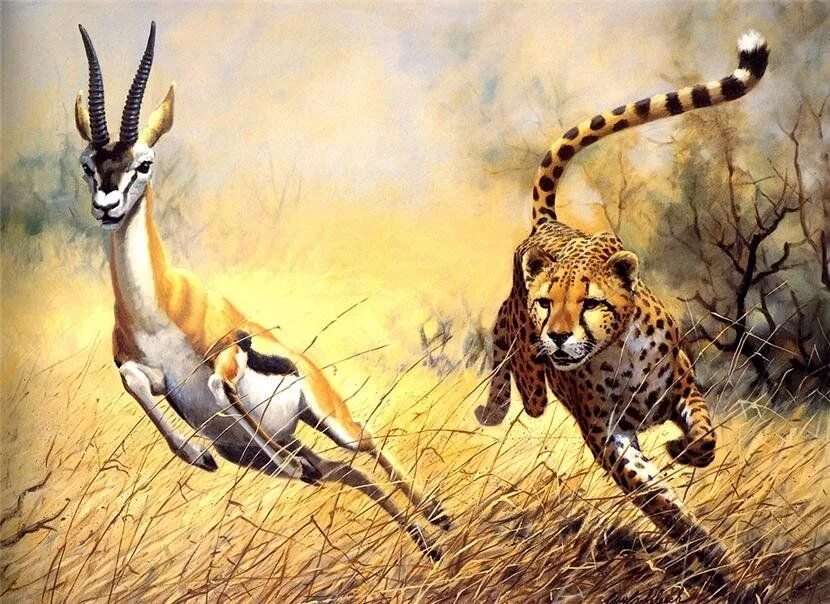 Chase animals. Coheleach, guy художник. Картины животных. Животные рисунки.