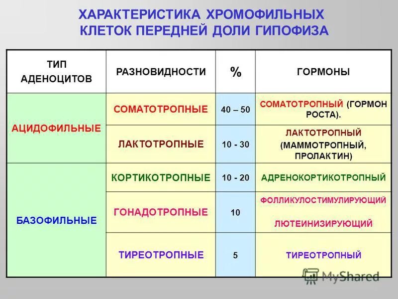установить соответствие между характеристиками и клетками крови. соответствие, между клетками крови и их особенностями. простые и сложные ткани растений. характеристика группы клеток. типы тканей растений 6 класс.