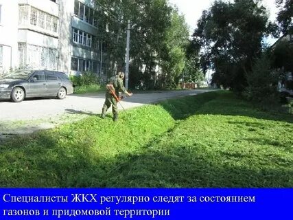 Состояние травяного покрова