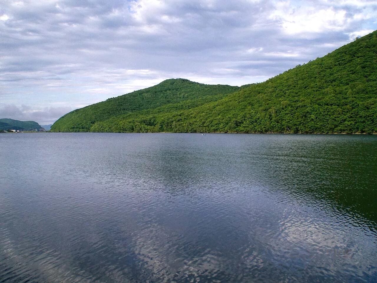 ханка приморский край. самое большое озеро приморского края которое называют. сихотэ-алинский заповедник озеро голубичное. озеро ханка приморский. бухта витязь приморский край.