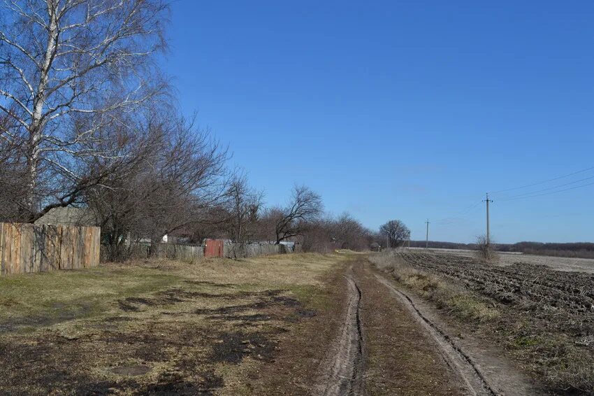 Село Ольшанка Крыжопольский район. Днепропетровская область Васильковский район село Копани. Ольшанка Знаменский район. Ольшанка Украина.