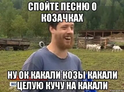 Песни какает