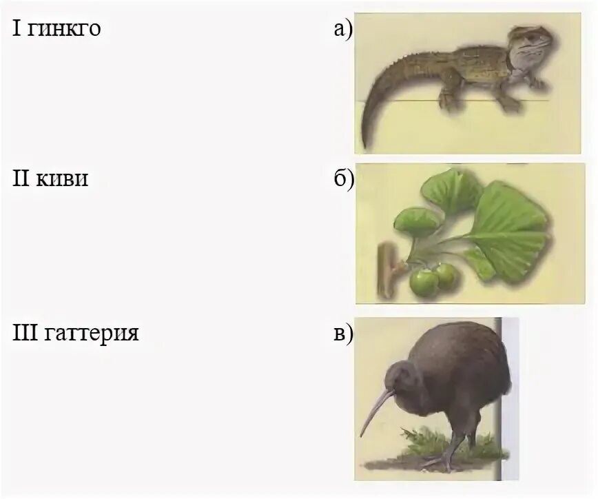 Тест по биологии 7 класс эволюция