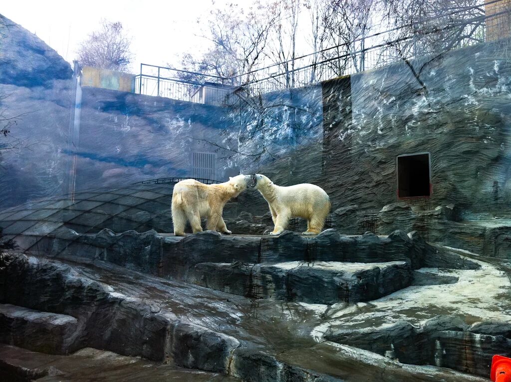 Зоопарк ленина. Зоопарк в Праге. Чешский зоопарк Прага. Зоопарк в Брно. Пражский зоопарк Прага.