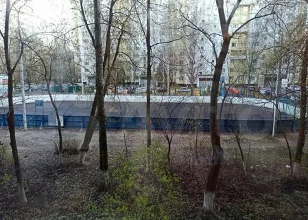 Хозяин королев