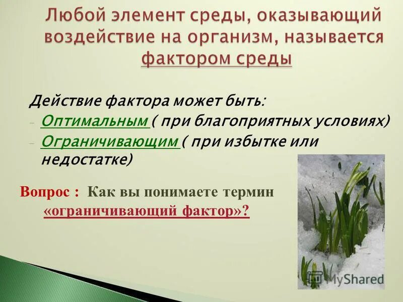 взаимодействие экологических факторов. причины устойчивости биоценоза. биогеоценоз однородный участок земной поверхности. ограничивающий фактор в биоценозе. ограничивающие факторы для растений.