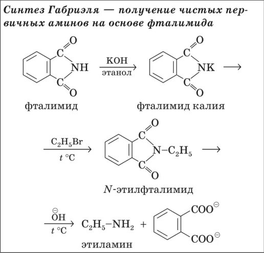 Метод Габриэля Синтез аминокислот. Синтез Габриэля получение Аминов. Фталимид калия Синтез Габриэля. Получение фталимида механизм реакции.