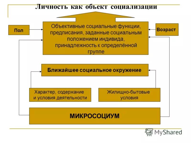 виды личности обществознание. типология личности. нормативно личностный. нормативный образец личности. нормативно личностный.