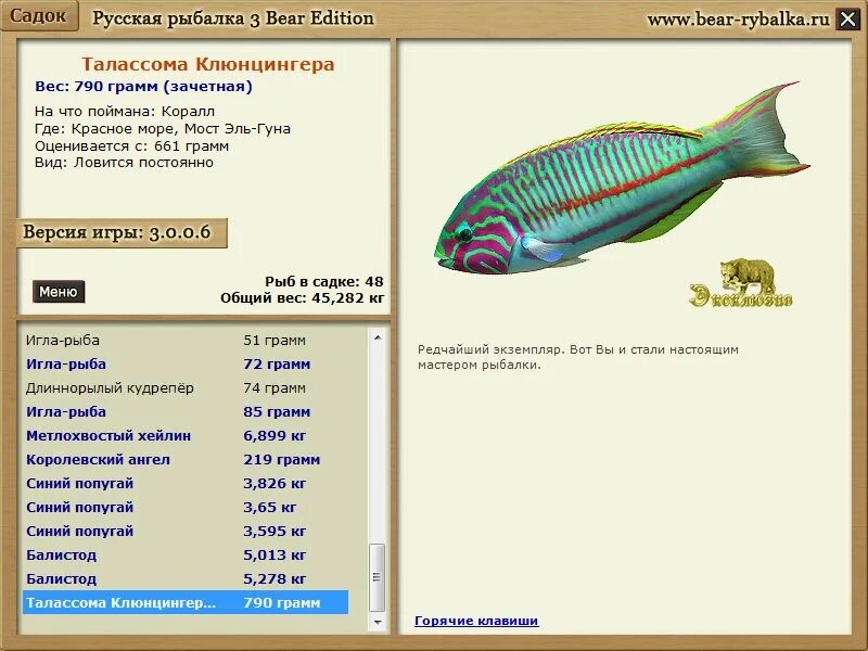 Рыба игла сарган. Реальная рыбалка рыба игла. Длиннорылый полурыл. Рыба игла характеристика. Реальная рыбалка рыба игла.