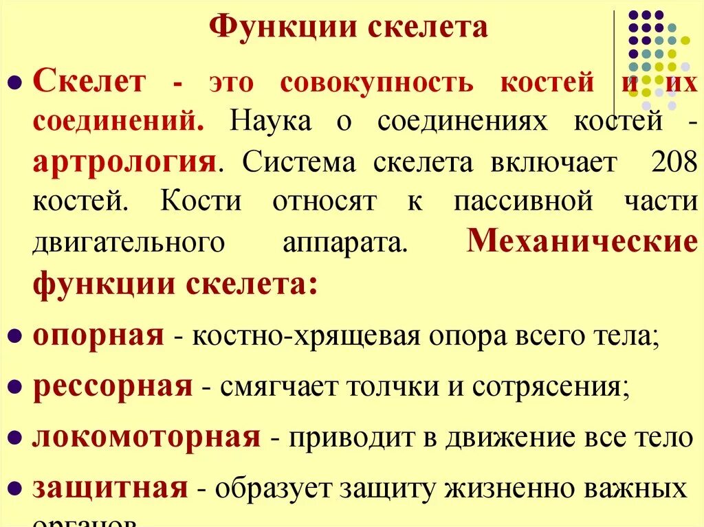 Основные функции скелета человека. 1. Функции скелета опорная и. Функции скелета кратко. Скелет определение функции.