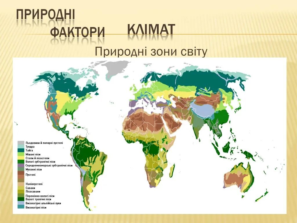 В каких странах есть леса. Природные зоны земли карта.