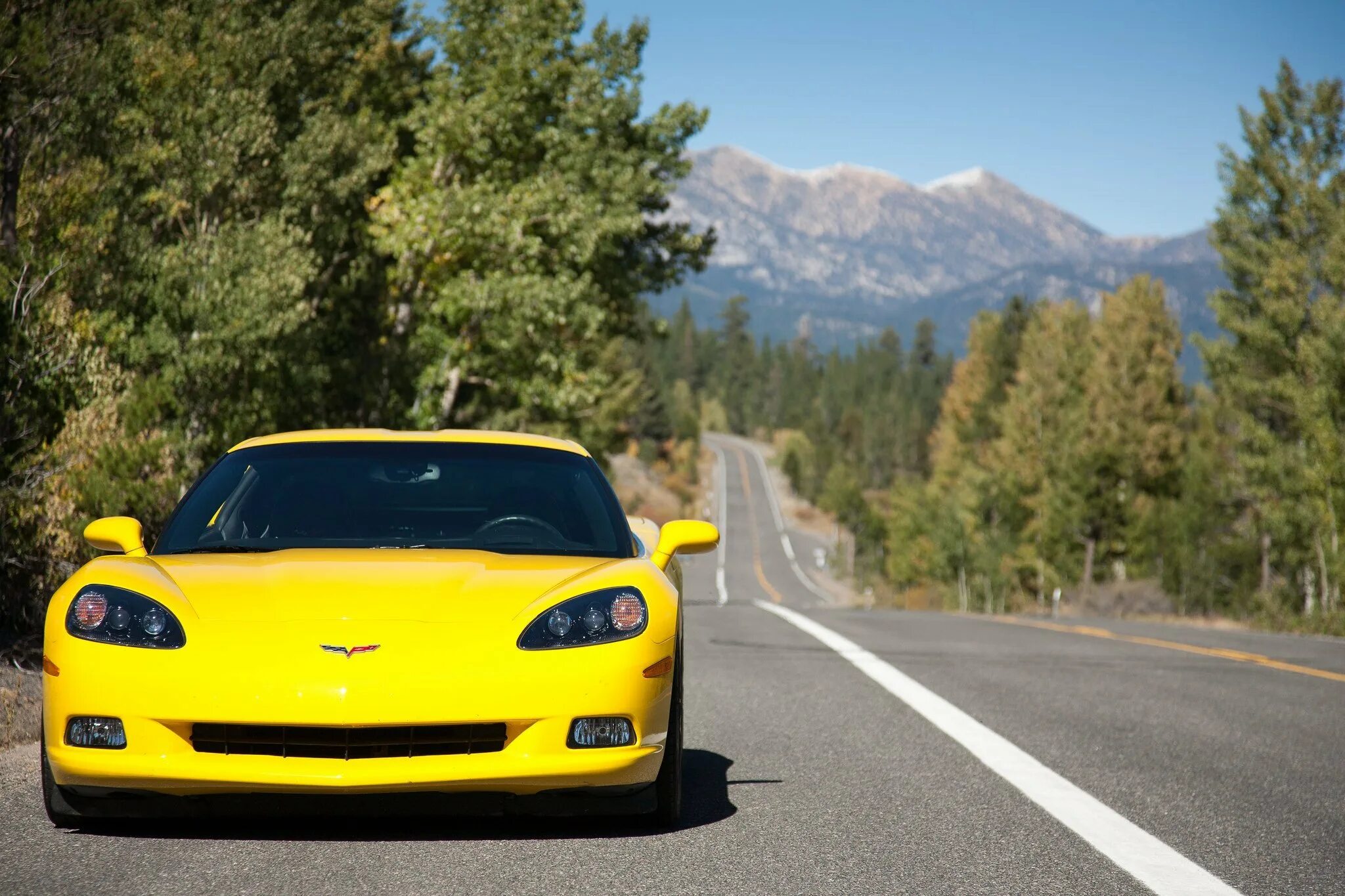 Видишь желтую машину. Chevrolet Corvette c6 мажор. Wallpaper Chevrolet Corvette c6 z01. Corvette c6 Coupe. Chevrolet Corvette c6 Cabrio из МАЖОРА.