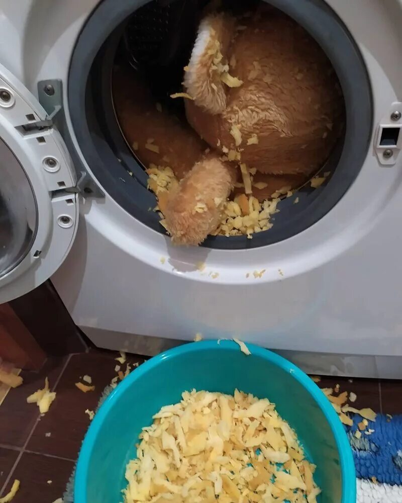 Какашка застряла на выходе что делать