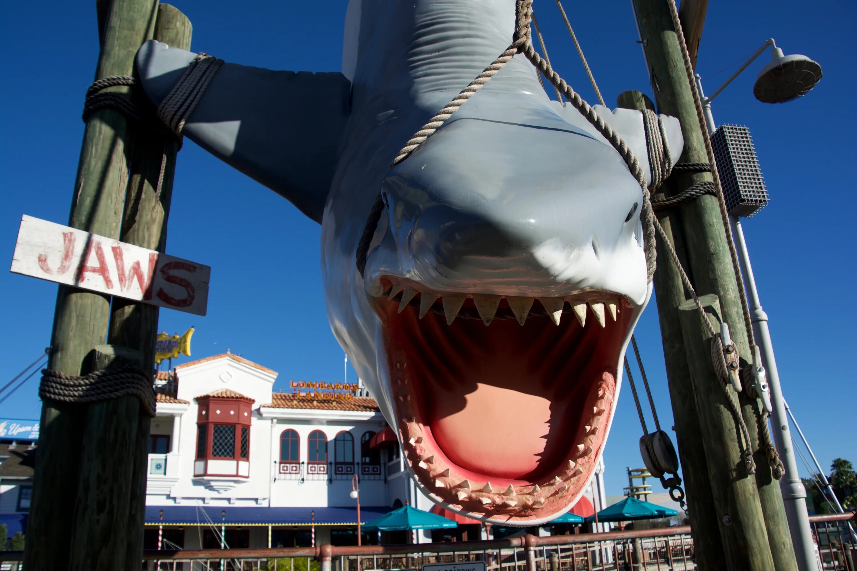Jaws