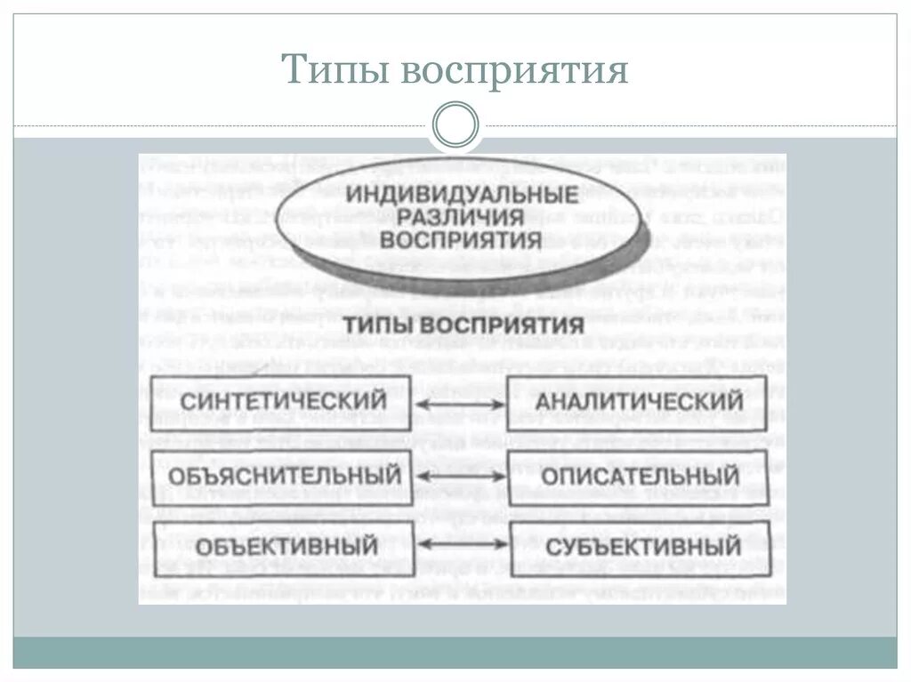 Виды восприятий и представлений