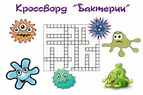 Кроссворд бактерии 7 класс