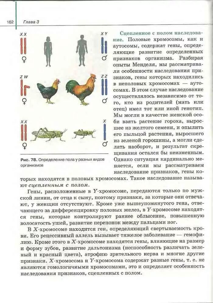 Биология 10 класс читать сивоглазов. Учебник по биологии 10 класс Агафонова Сивоглазов. Учебник по биологии 11 класс Агафонова Сивоглазов. Биология 10 класс учебник Сивоглазов содержание. Учебник по биологии 11 класс Агафонова.