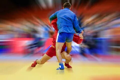 Самбо вид спортивного единоборства