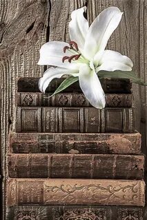 Книги лилии