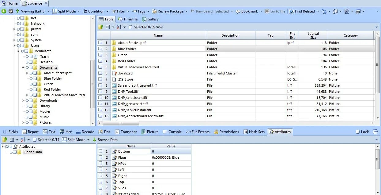 Encase forensic. Encase программа. encase главный интерфейс. encase 6.19.