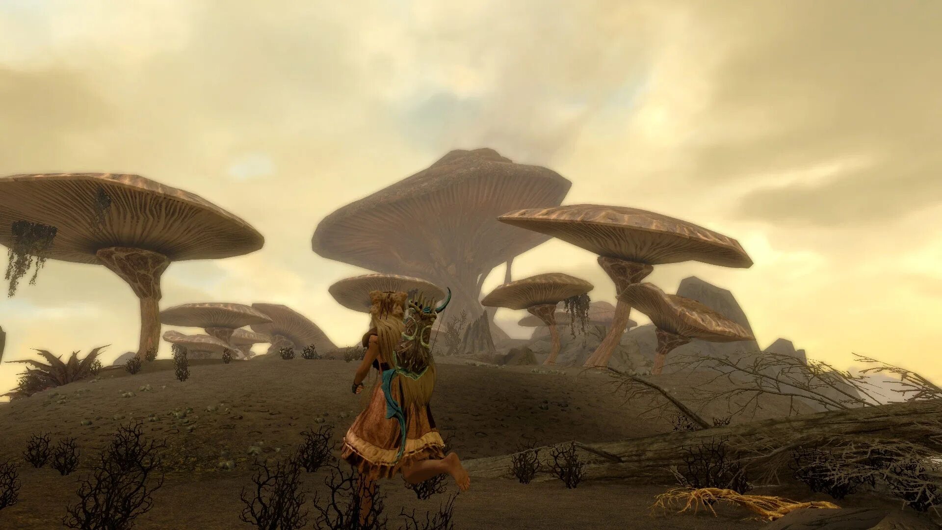 Правильную последовательность реакций энергетического обмена. Пустошь бисти нью мексико фото. Расшифровка ip адреса. Гигиенический душ esko. Соответствие между процессом и этапом энергетического обмена.