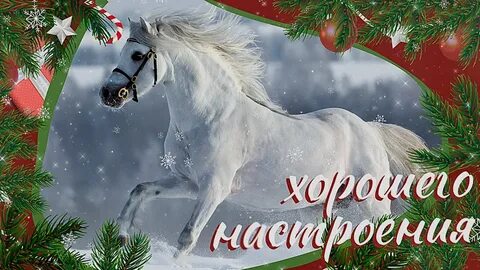 2023 лошади