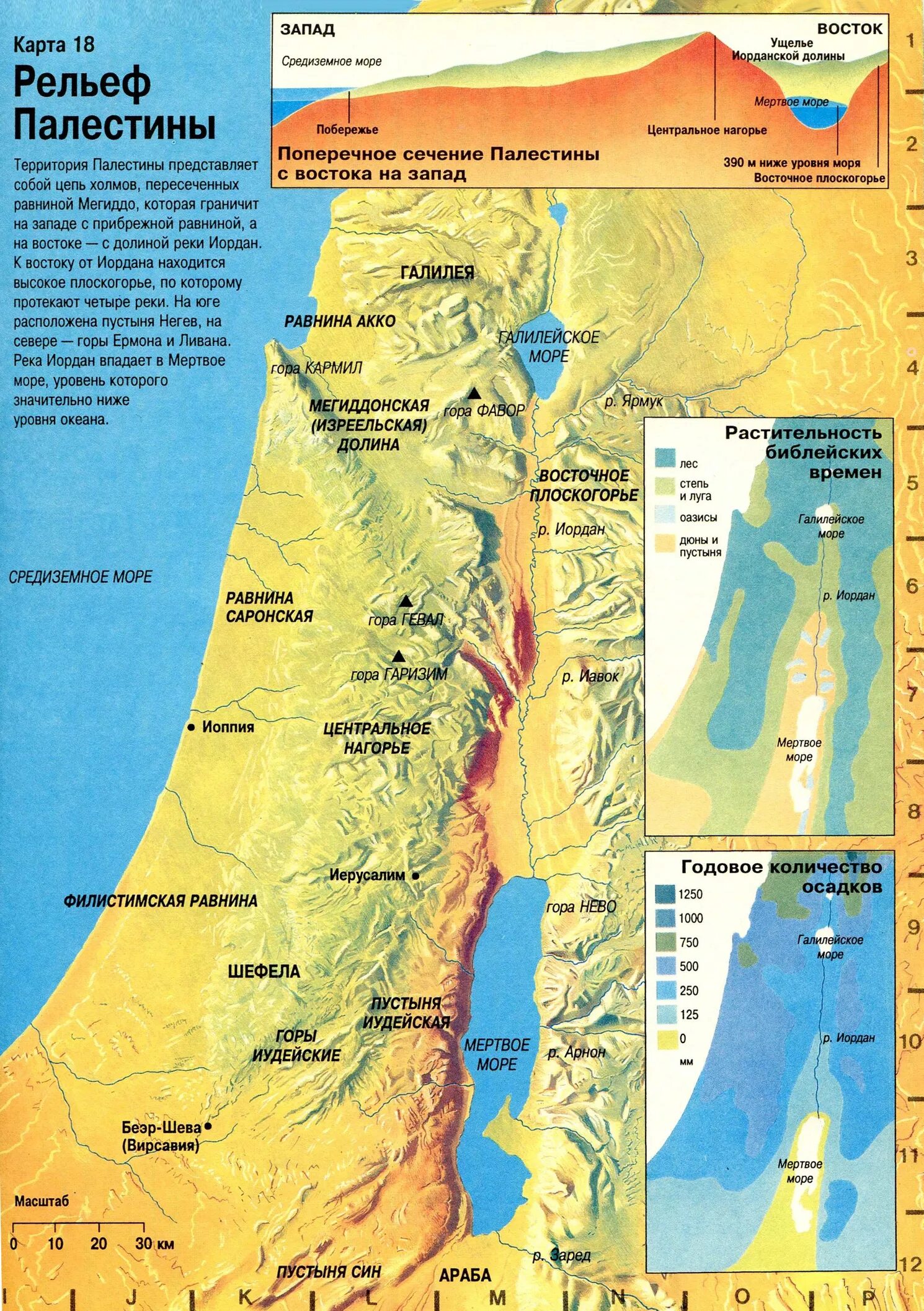 Карта Палестины времен ветхого Завета. Карта Палестины ветхого Завета. Карта Палестины времен Иисуса Христа. Рельеф Израиля карта. Какой климат в палестине