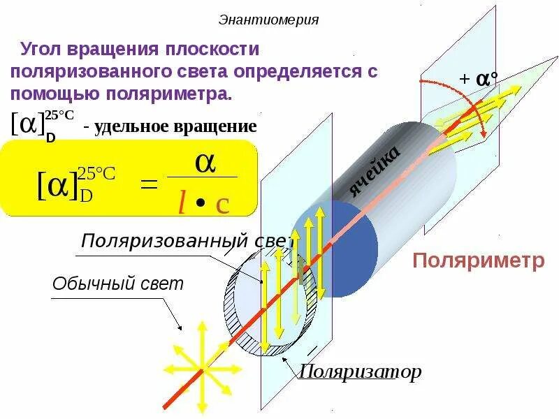 Вращение плоскости поляризации поляризованного света. Вращение плоскости поляризации оптически активными средами.. Угол вращения плоскости поляризации света. Угол вращения плоскости поляризации. Вращение угла поляризации