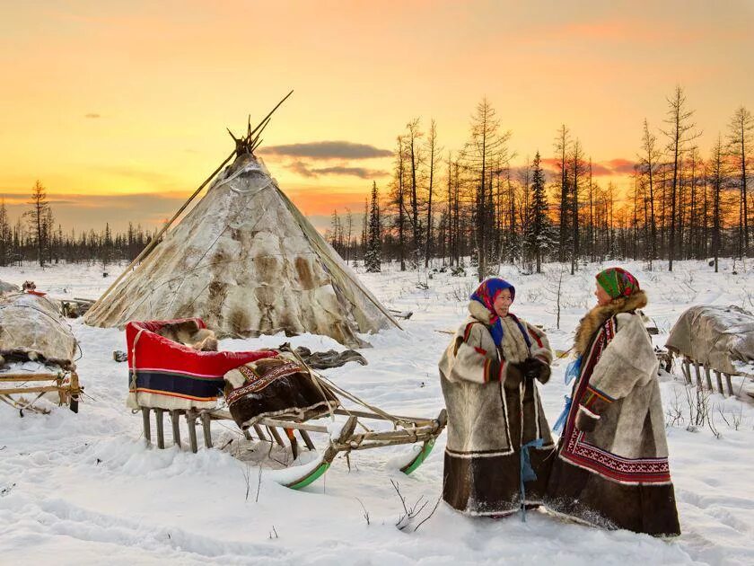 Народы севера ханты и ненцы. Ханты, манси, коми, селькупы, ненцы. День оленевода ханты-мансийск. Ненцы ханты манси. Нарьян мар этнокультурный центр.