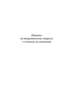 Билеты по анатомии