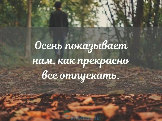 Смешные открытки про осень - Веселые осенние картинки - 72 фото