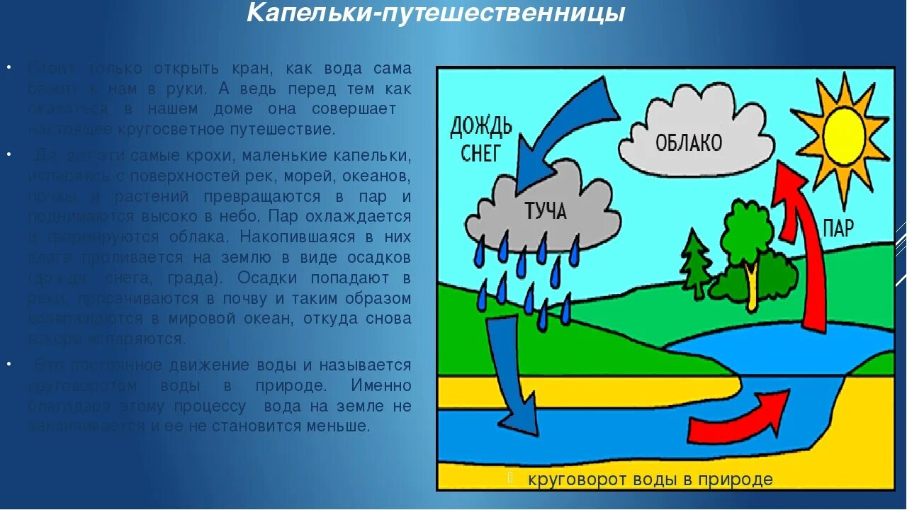 На земле постоянно происходит большой круговорот воды. Путешествие капельки воды в природе. Рассказ путешествие капельки. Путешествие капельки круговорот воды в природе. Путешествие капельки воды сочинение.