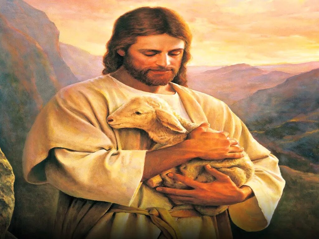 О добром пастыре. Иисус Христос с агнцем. Иисус с ягненком. ИСКС С ягненком. Иисус с овечкой.