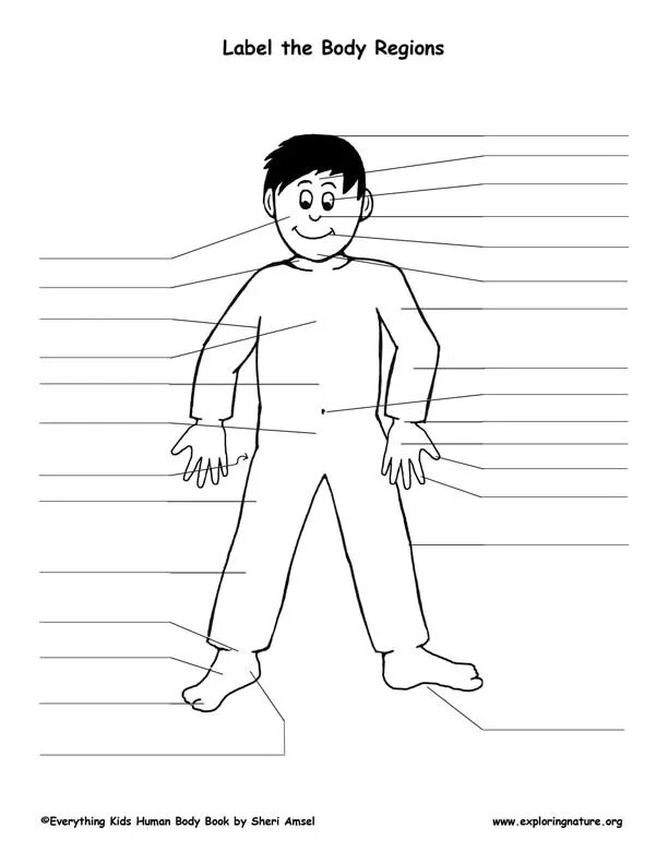 Body parts. Body parts раскраска. Body parts for kids. Задания по английскому части тела. My body.